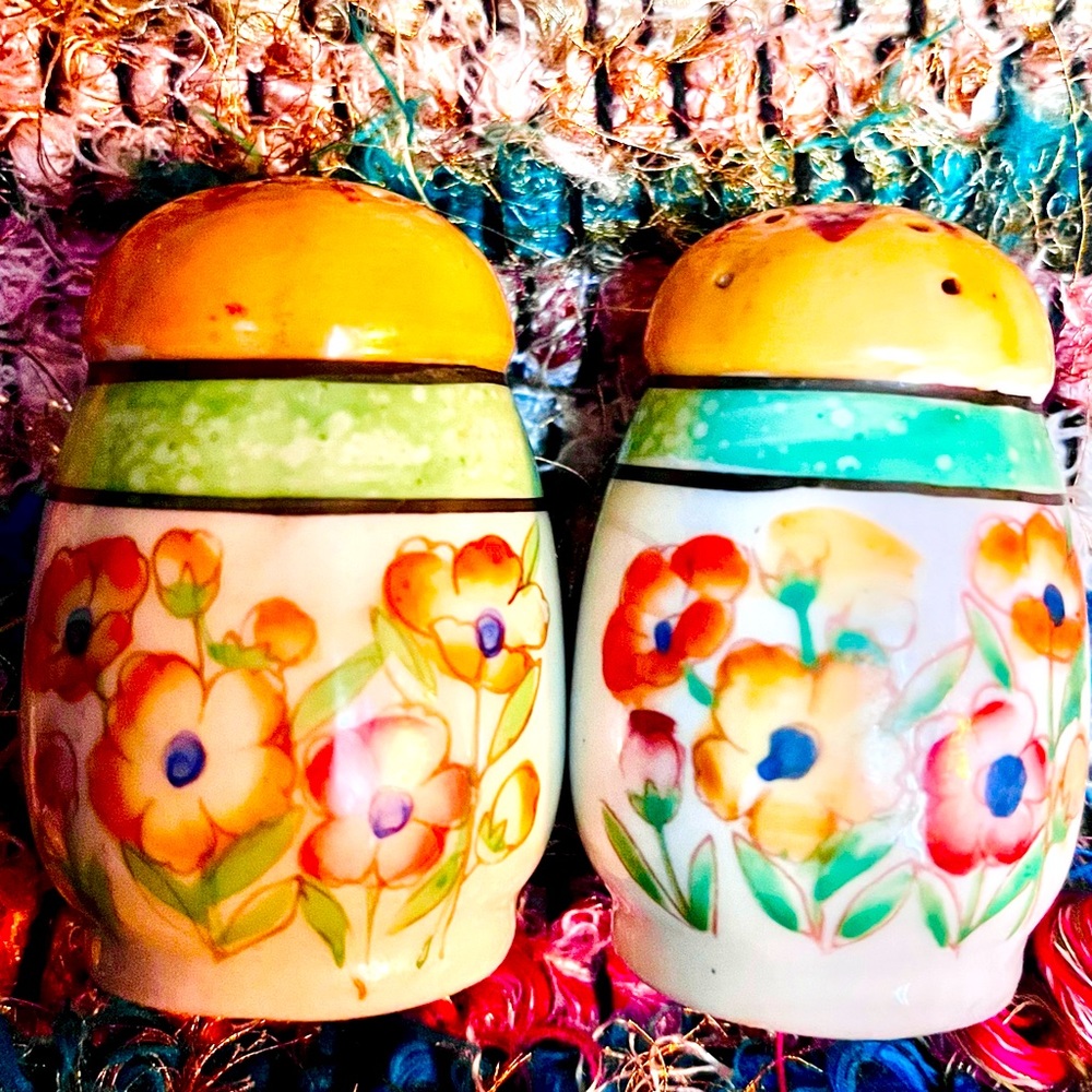 Beautiful Vintage Hand Painted Ceramic Collectible Salt & Pepper Shakers Japan
